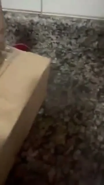 Vídeo de cliente abrindo o pedido recebido em casa (4 de 17)